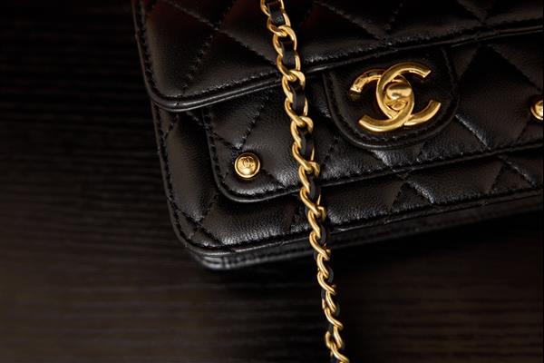 2026131222332184 620